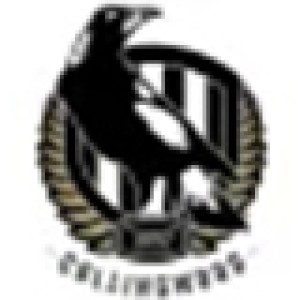 Collingwood Magpies