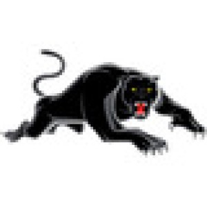 Penrith Panthers
